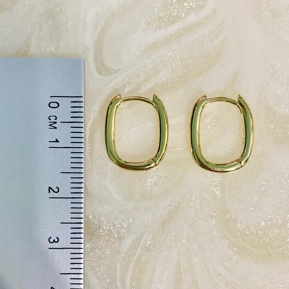 Elegant Gold S925 Hoop Earrings